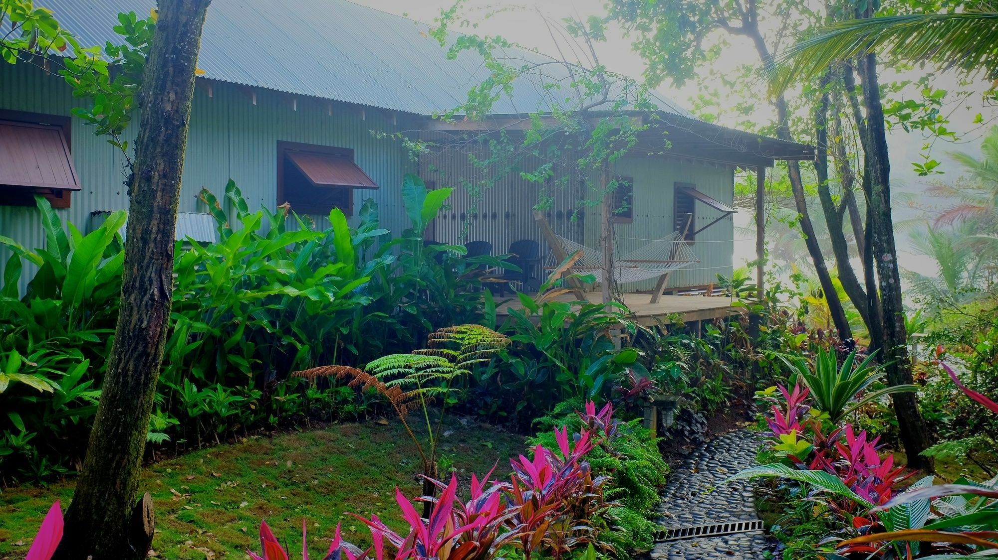 Pagua Bay House - Oceanfront Cabana'S Marigot Extérieur photo